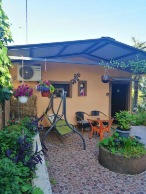Little garden house
